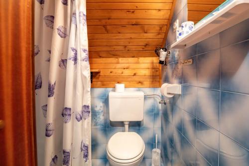 a bathroom with a toilet and a shower curtain at Sobe Ličef in Bohinj