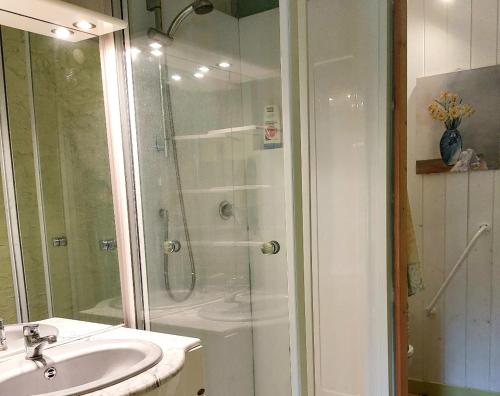 een badkamer met een douche en een wastafel bij Moulin de Frely in Pouzauges