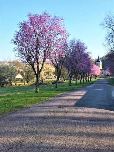 La MUSARDIERE Gîte paisible à la campagne : مجموعة من الأشجار مع الزهور الزهرية على جانب الطريق