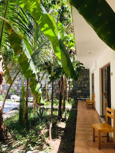 Jardín al aire libre en Residencial Lela d'Fermina