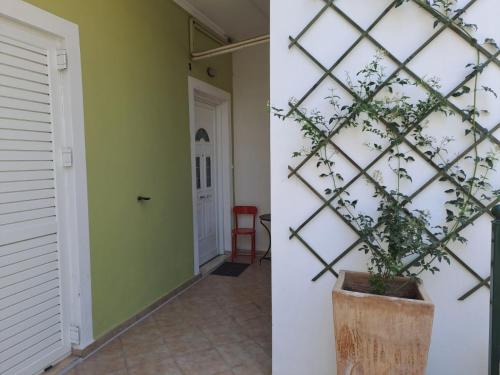 Gambar di galeri bagi Dimitris place near Athens airport di Koropíon