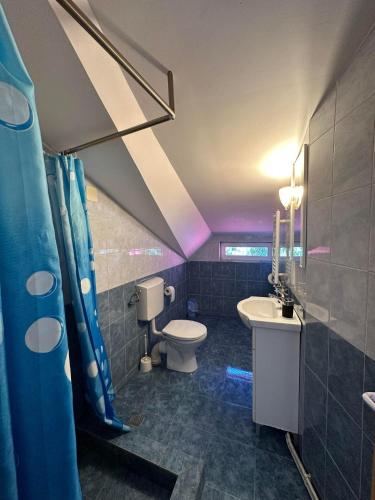 a bathroom with a toilet and a sink at Cabana Ovidiu in Rau Sadului
