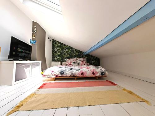 a bedroom with a bed and a tv on a ceiling at Le Cocon du Pré-Saint-Gervais in Le Pré-Saint-Gervais