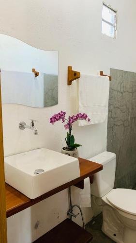 a bathroom with a sink and a toilet at Hospedaria Hibisco Xandó - Caraíva in Caraíva