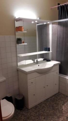 une salle de bain avec un lavabo, des toilettes et un miroir dans l'établissement Central studio ideal for hikers or skiers, à Brides-les-Bains