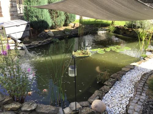 a garden with a pond with a tent over it at Ferienwohnung Entenquack in Weisel