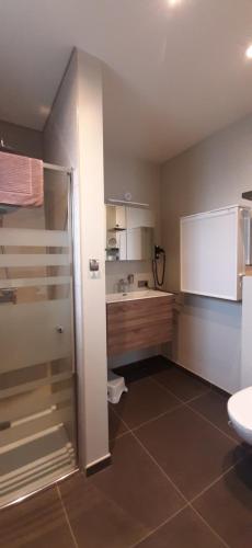 Koupelna v ubytování B & B Victors Hof, met zwemvijver in landelijke setting