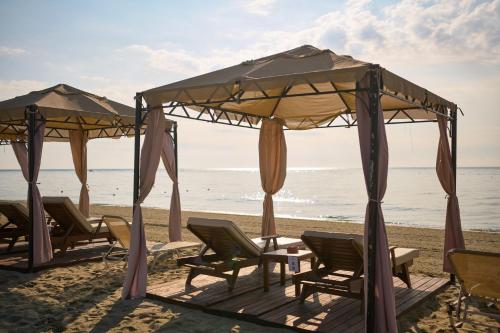 Landskap semula jadi dekat dengan resort