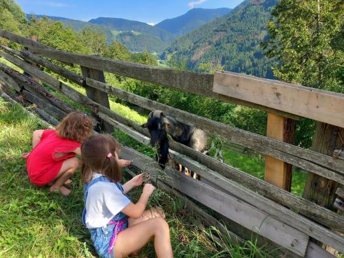 two girls are looking at a goat through a fence at Raffreiderhof Apt Zirbe in Luson