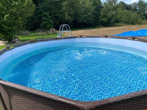 a large swimming pool in a wicker chair with a swing at Apartamenty Domek na Roztoczu in Horyniec Zdrój