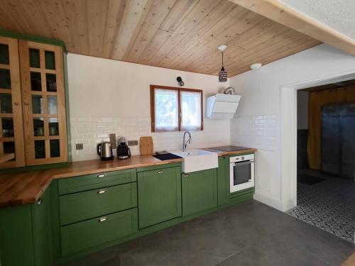 a kitchen with green cabinets and a sink at L'Oustalet d'Erine - spacieuse et climatisée in Albi