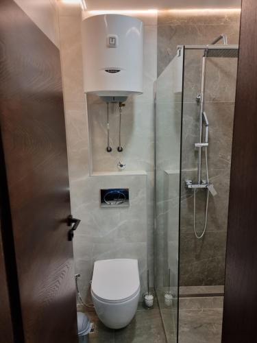 a bathroom with a toilet and a shower at Villa Park Ravne in Visoko