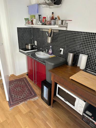 uma pequena cozinha com um lavatório e um balcão em Central Plaza mini apartment 1 em Bruck an der Leitha