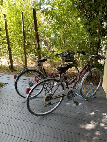 a bike is parked on a wooden deck at Vacances révées au Pin Parasol in Le Thor