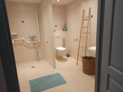 a bathroom with a shower and a toilet and a ladder at Alpagas de Barres in Sénaillac-Latronquière