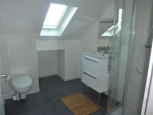 a bathroom with a toilet and a sink and a skylight at VILLA GARGANTUA in Cayeux-sur-Mer