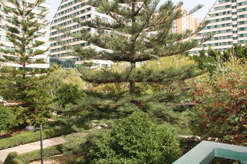 Apartamentos Las Ciencias D