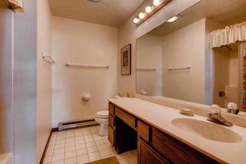 a bathroom with a sink and a toilet and a mirror at The Plaza Condominiums by Crested Butte Mountain Resort in Mount Crested Butte