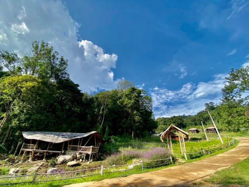 a dirt road next to a field with trees at Daelorpu 1 แดลอปู in Ban Yang
