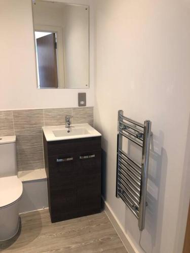 La salle de bains est pourvue d'un lavabo, de toilettes et d'un miroir. dans l'établissement 3 bedroom apartment free parking, à Manchester