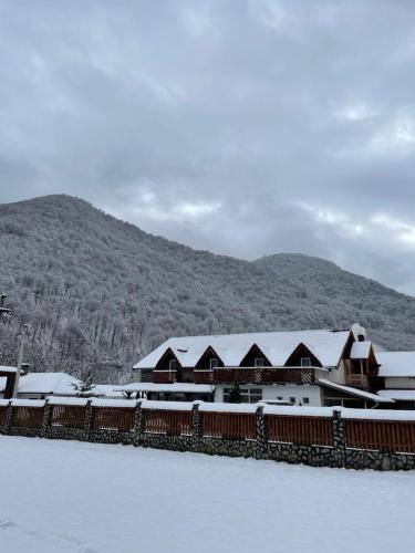 a building covered in snow next to a mountain at Pensiunea Dany in Clopotiva