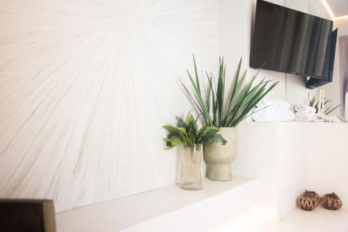 a vase with a plant sitting on a shelf at Gèa Athenian Suites in Athens