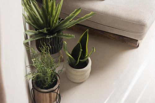 three potted plants sitting on a shelf next to a window at Gèa Athenian Suites in Athens