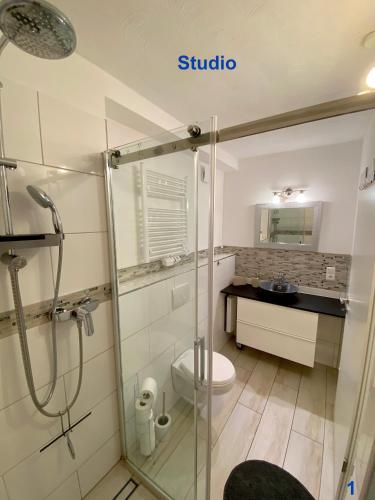 a bathroom with a shower and a toilet and a sink at Ferien im FerienStudio1A in Brüggen