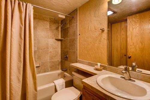a bathroom with a sink and a toilet and a mirror at The Plaza Condominiums by Crested Butte Mountain Resort in Mount Crested Butte