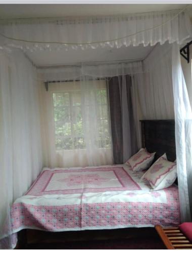 Serena Village Homes