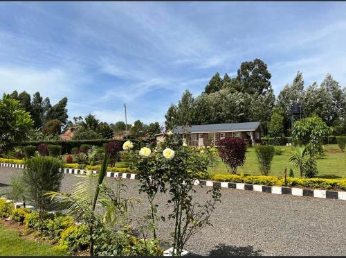 Serena Village Homes – Photos 3