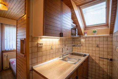 uma pequena cozinha com um lavatório e uma janela em Apartmaji Preželj em Bohinj