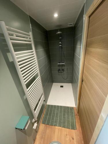 La salle de bains est pourvue d'une douche. dans l'établissement Au Bord de L'Eau, à Écluzelles