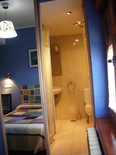 a bathroom with a shower and a bed and a toilet at Hospedaje Senda del Huerna in Campomanes