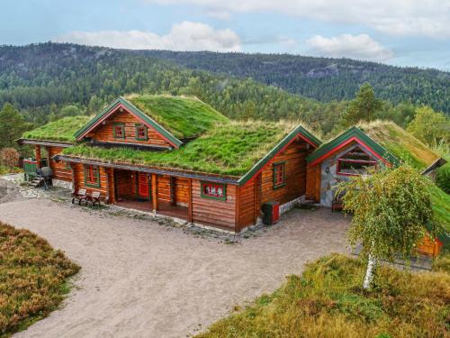 a house with a grass roof on top of it at Chalet Kakebu by Interhome in Gjerstad