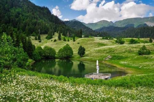 a lake in a field with a boat in it at Hotel Voisa/სასტუმრო ვოისა in Batumi