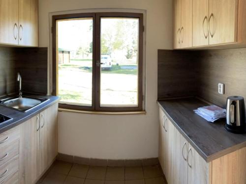 a kitchen with a sink and a window at Holiday Home Kemp Stříbrný rybník-8 by Interhome in Hradec Králové