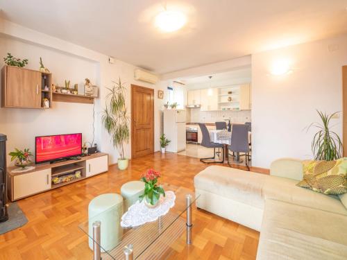 een woonkamer met een bank en een tv bij Apartment Ivana by Interhome in Jadranovo