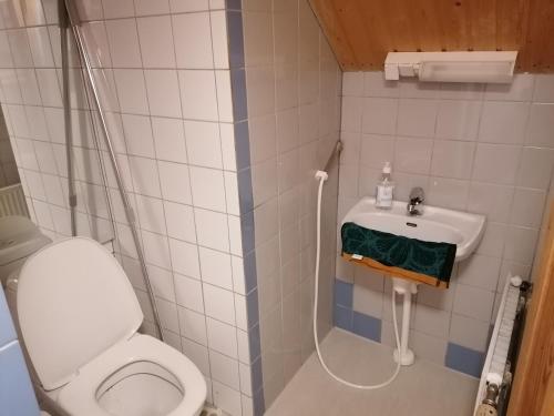 a small bathroom with a toilet and a sink at Lissun Majoitus in Alavieska