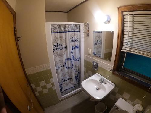 a bathroom with a sink and a shower curtain at Heart of the Berkshires Motel in Pittsfield