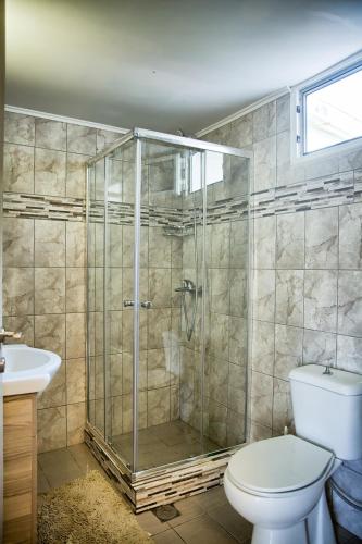 a bathroom with a shower with a toilet and a sink at Platanos Villa in Haraki