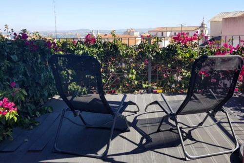 里斯本的住宿－里斯本丁斯酒店，两把椅子坐在鲜花盛开的花园前