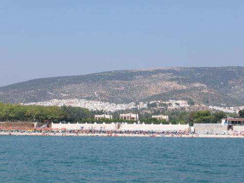 a beach with a lot of people on it at Olive&Sea Villa-OLIVE in Mattinata