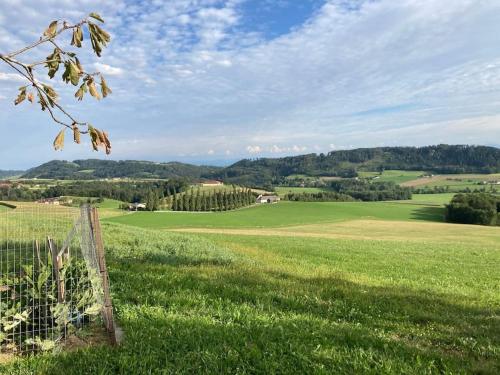 a field of green grass with a fence in the foreground at Wohnen im Grünen in Pregarten