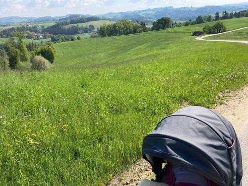 a backpack on the side of a dirt road next to a field at Wohnen im Grünen in Pregarten