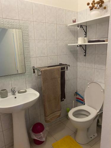 a small bathroom with a toilet and a sink at Au Gré des Alizés - Kaz Soley Péyi in Capesterre-de-Marie-Galante