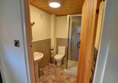 a small bathroom with a toilet and a shower at Y Beudy in Llandinam