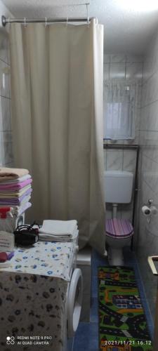 a bathroom with a toilet and a shower curtain at Nevesinje centar Apartman in Nevesinje