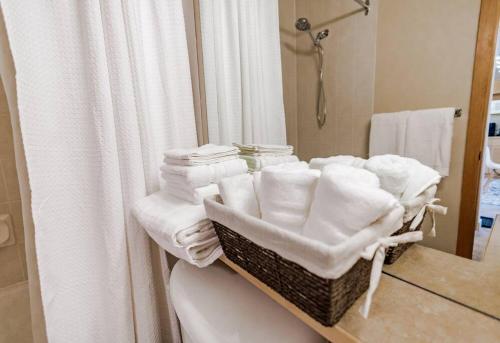 Koupelna v ubytování Lux 2BR/3BD Suite/Mountain View!