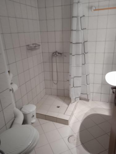 een witte badkamer met een douche en een toilet bij Maria's house in Preveza